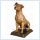 Life Size Bronze Dog Statue for Sale